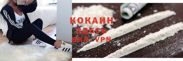 гашик Абаза