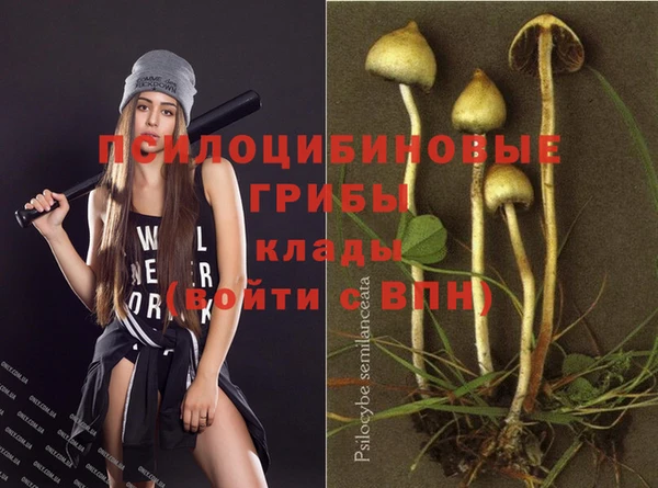 бошки Абинск