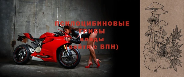 прущий лед Семилуки